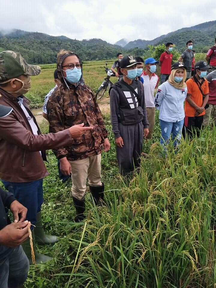 Harga Gabah Petani Ada Diskriminasi , Gusli Hadir Lahirkan Solusi